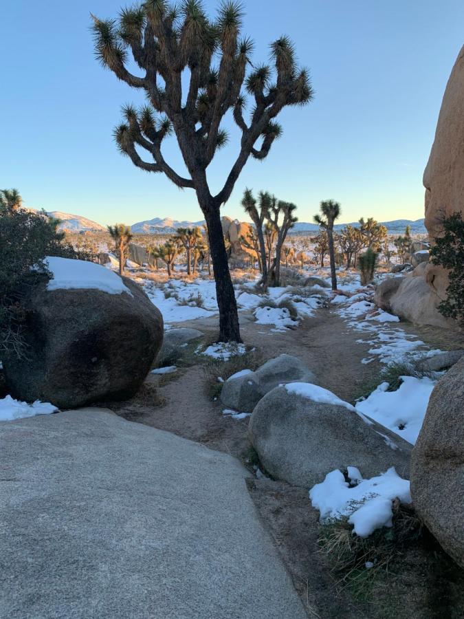 Popular Homestead! Location, Stargaze, Views! Joshua Tree Esterno foto