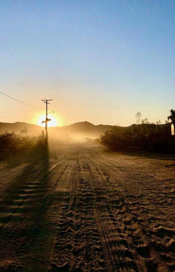 Popular Homestead! Location, Stargaze, Views! Joshua Tree Esterno foto