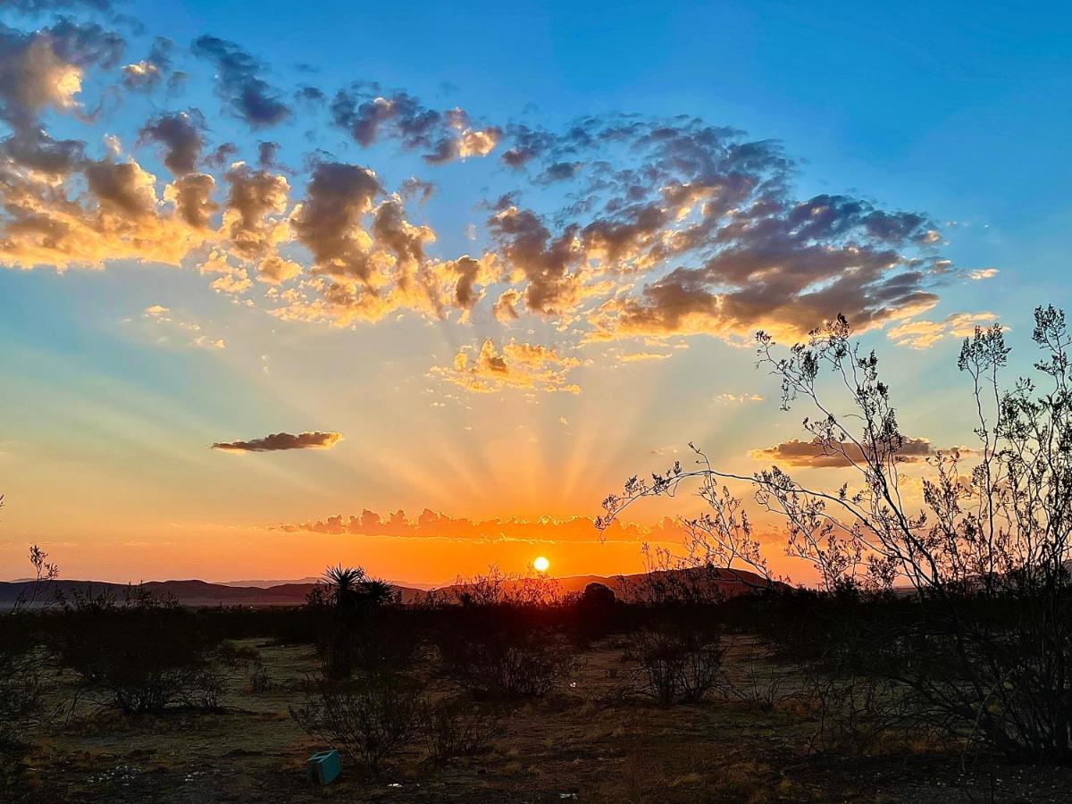 Popular Homestead! Location, Stargaze, Views! Joshua Tree Esterno foto