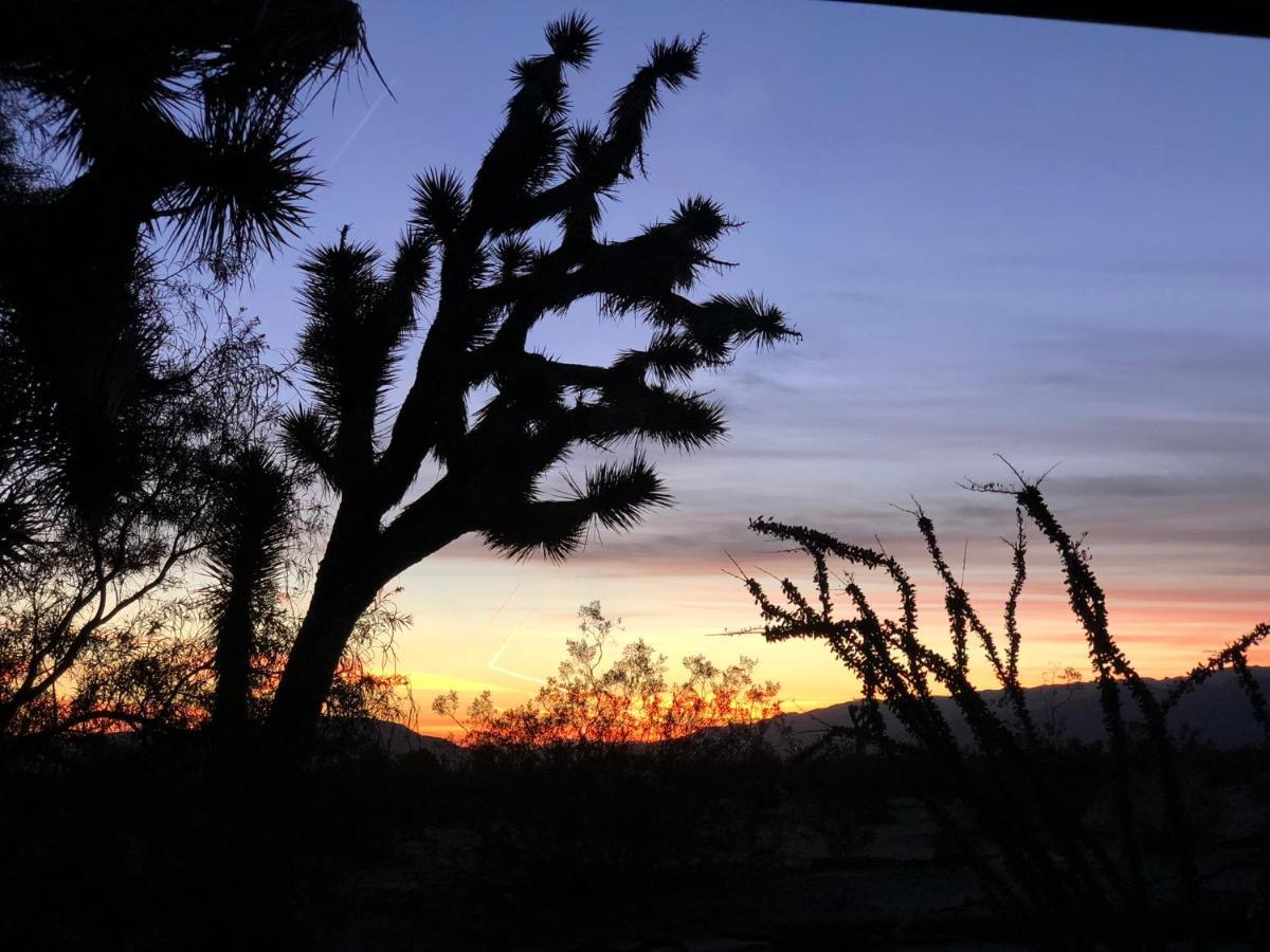 Popular Homestead! Location, Stargaze, Views! Joshua Tree Esterno foto