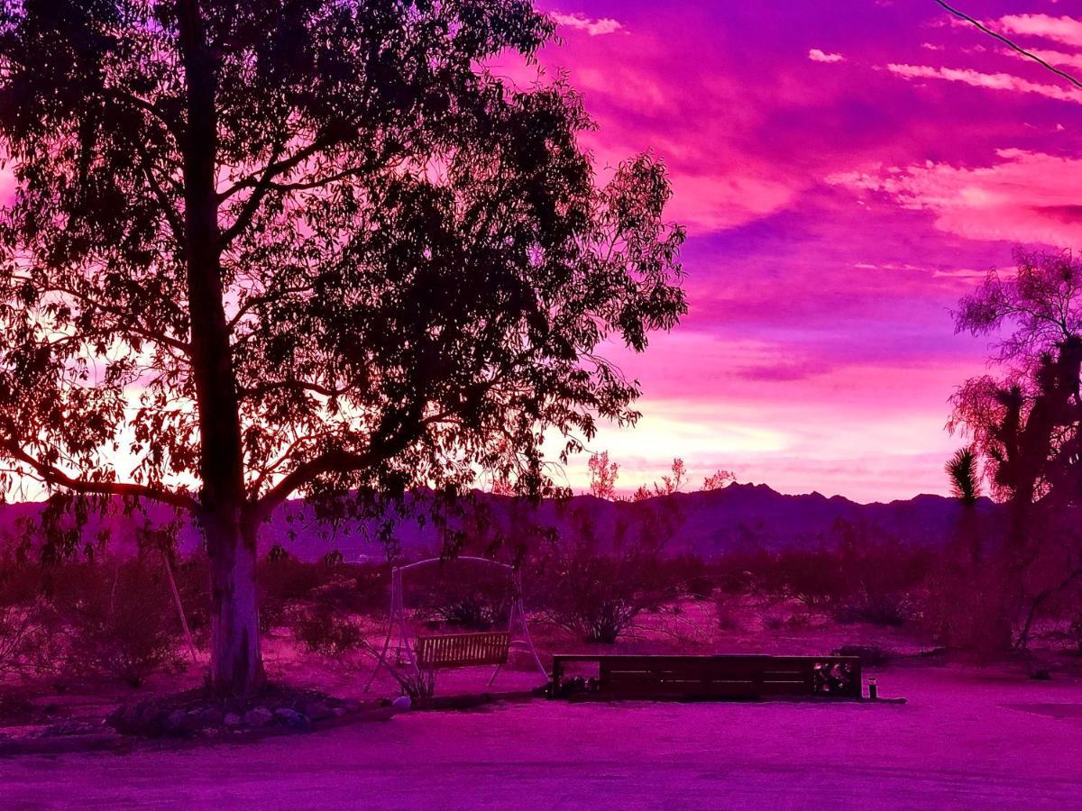 Popular Homestead! Location, Stargaze, Views! Joshua Tree Esterno foto
