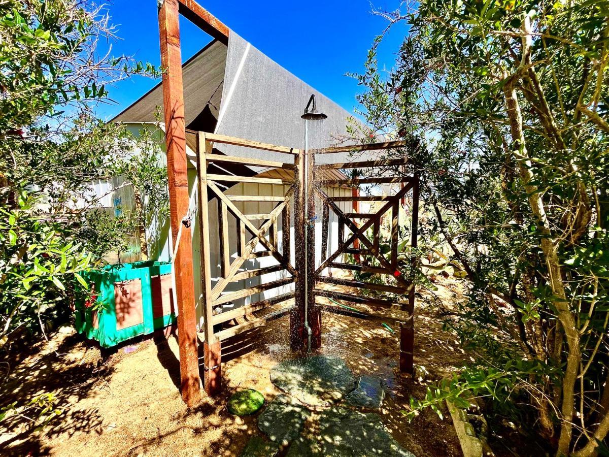 Popular Homestead! Location, Stargaze, Views! Joshua Tree Esterno foto