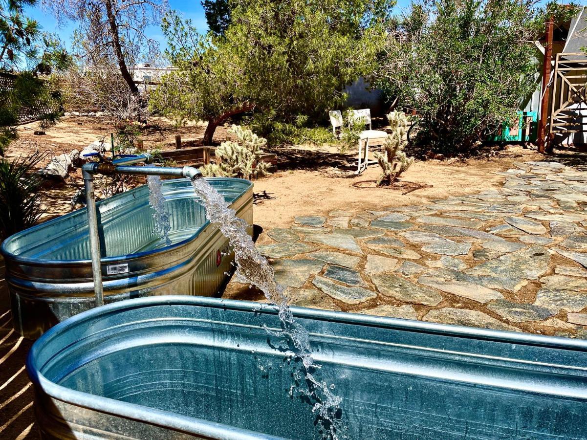 Popular Homestead! Location, Stargaze, Views! Joshua Tree Esterno foto