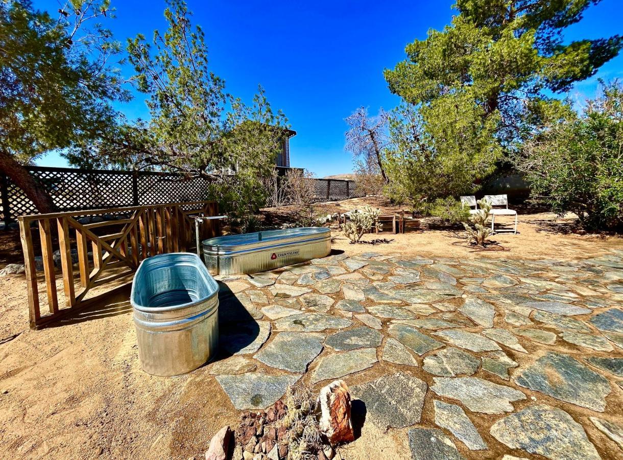 Popular Homestead! Location, Stargaze, Views! Joshua Tree Esterno foto