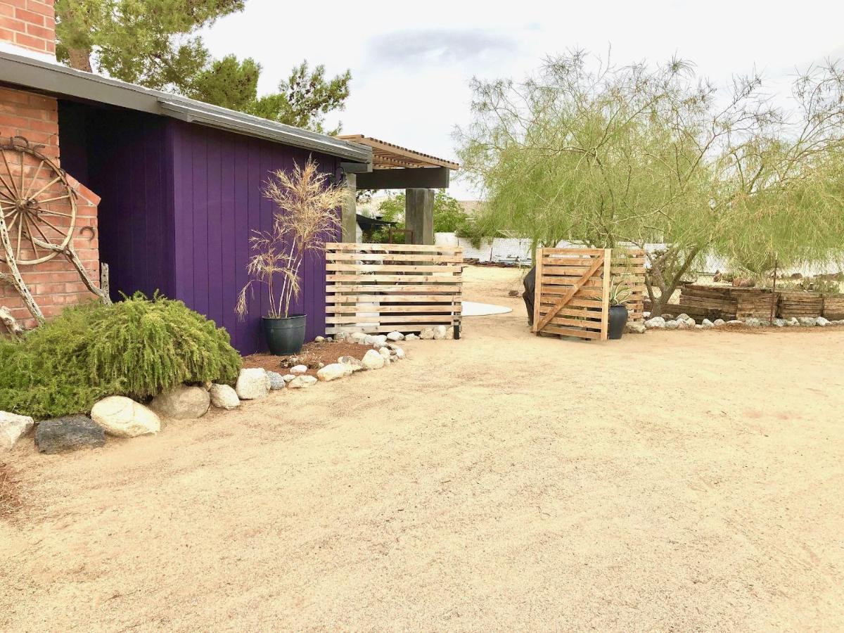 Popular Homestead! Location, Stargaze, Views! Joshua Tree Esterno foto