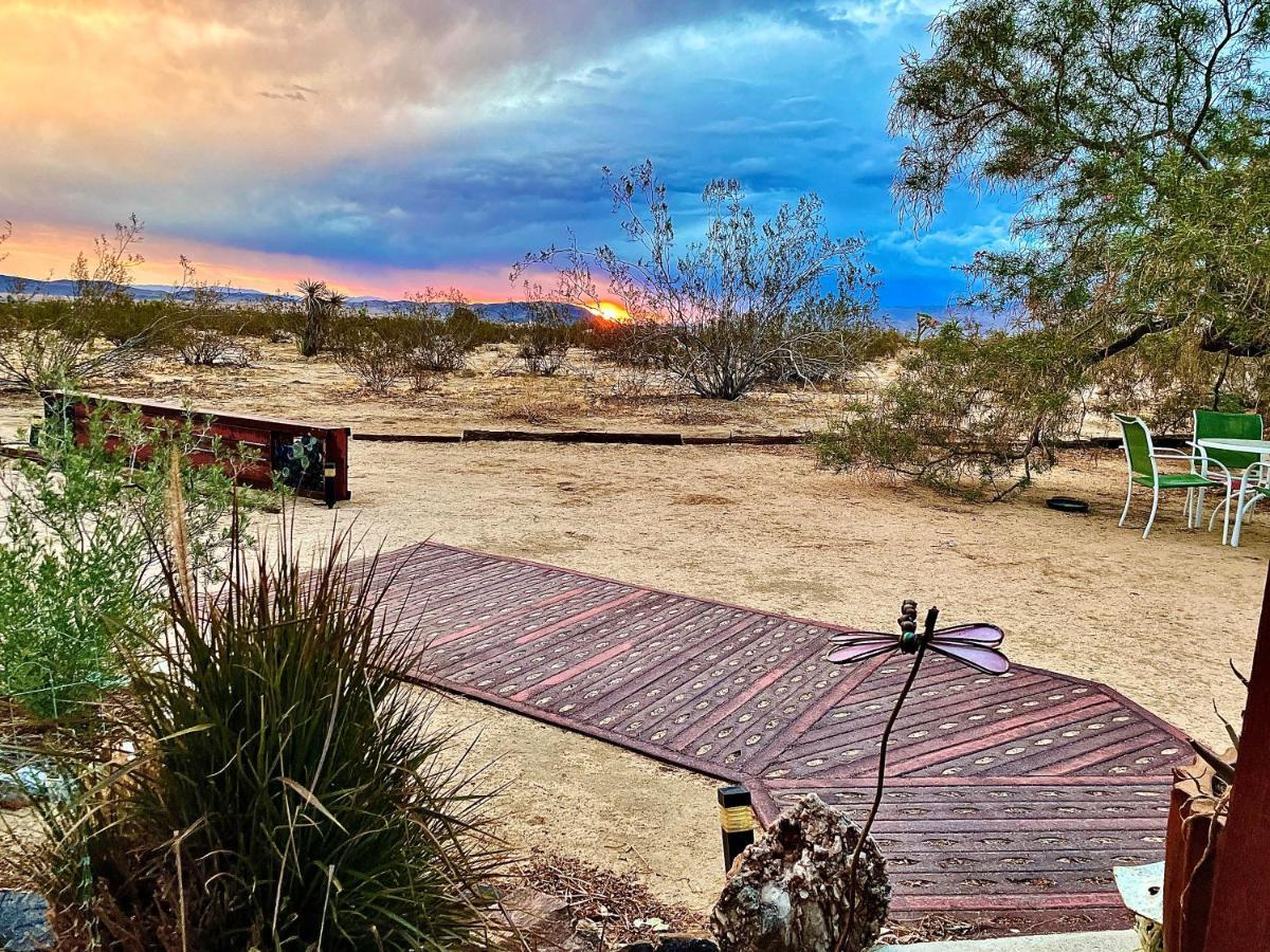Popular Homestead! Location, Stargaze, Views! Joshua Tree Esterno foto