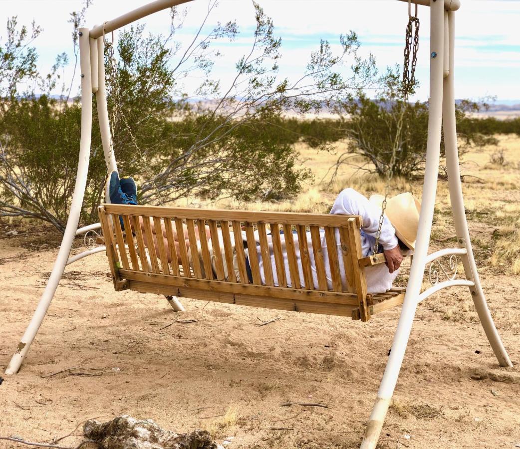Popular Homestead! Location, Stargaze, Views! Joshua Tree Esterno foto
