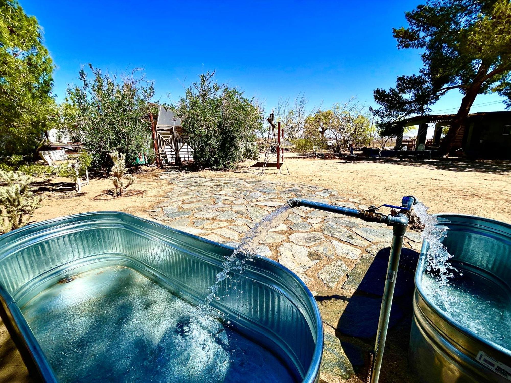 Popular Homestead! Location, Stargaze, Views! Joshua Tree Esterno foto